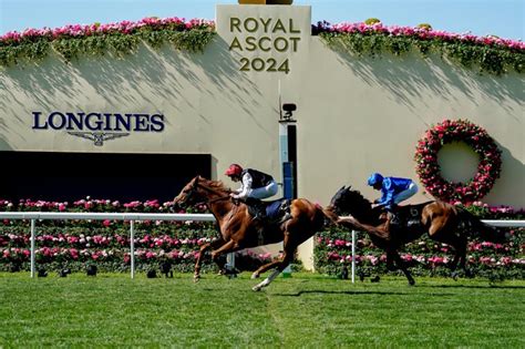 Royal Ascot 2024: Kyprios is the best bet with customers .